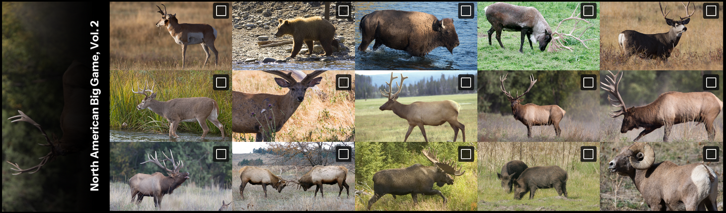 All thumbnails from North American Big Game Photo, Vol. 2