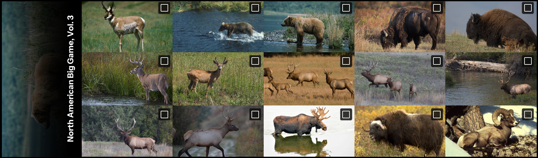 All thumbnails from North American Big Game Photo, Vol. 3