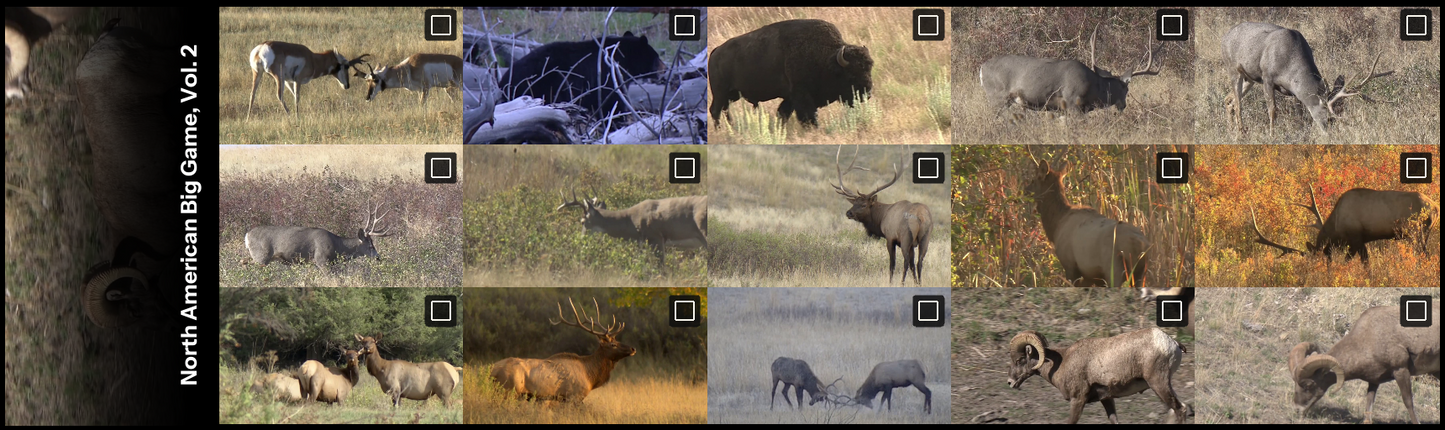 All thumbnails from North American Big Game Video, Vol. 2