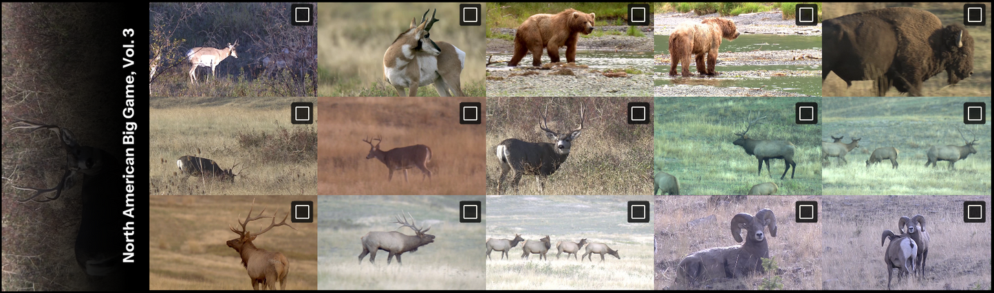 All thumbnails from North American Big Game Video, Vol. 3