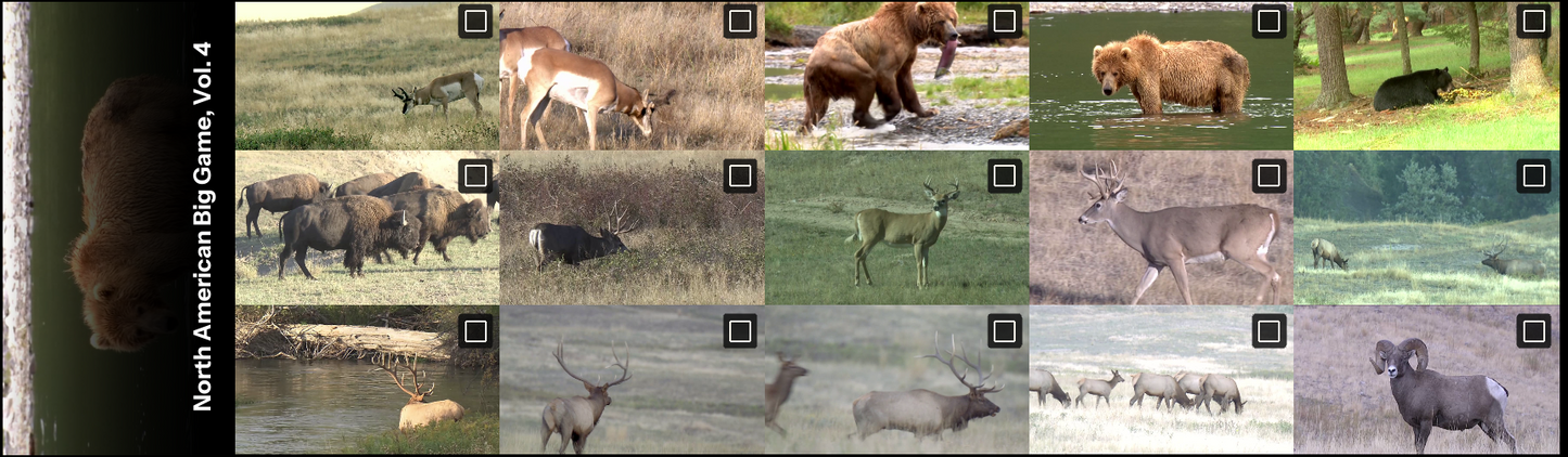 All thumbnails from North American Big Game Video, Vol. 4