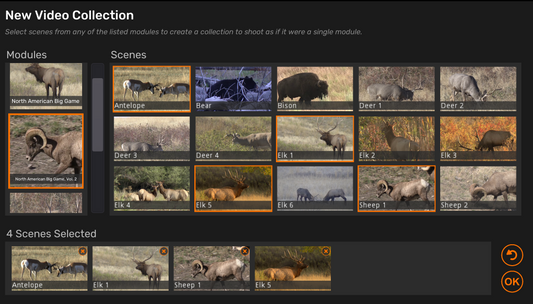 Release 2024.1: Introducing Collections - bundle your favorite scenes together