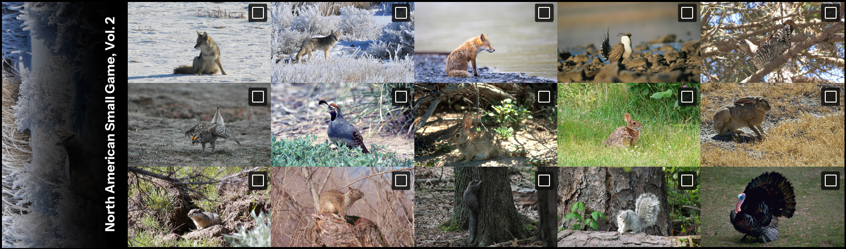 All thumbnails from North American Small Game Photo, Vol. 2