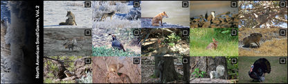 All thumbnails from North American Small Game Photo, Vol. 2