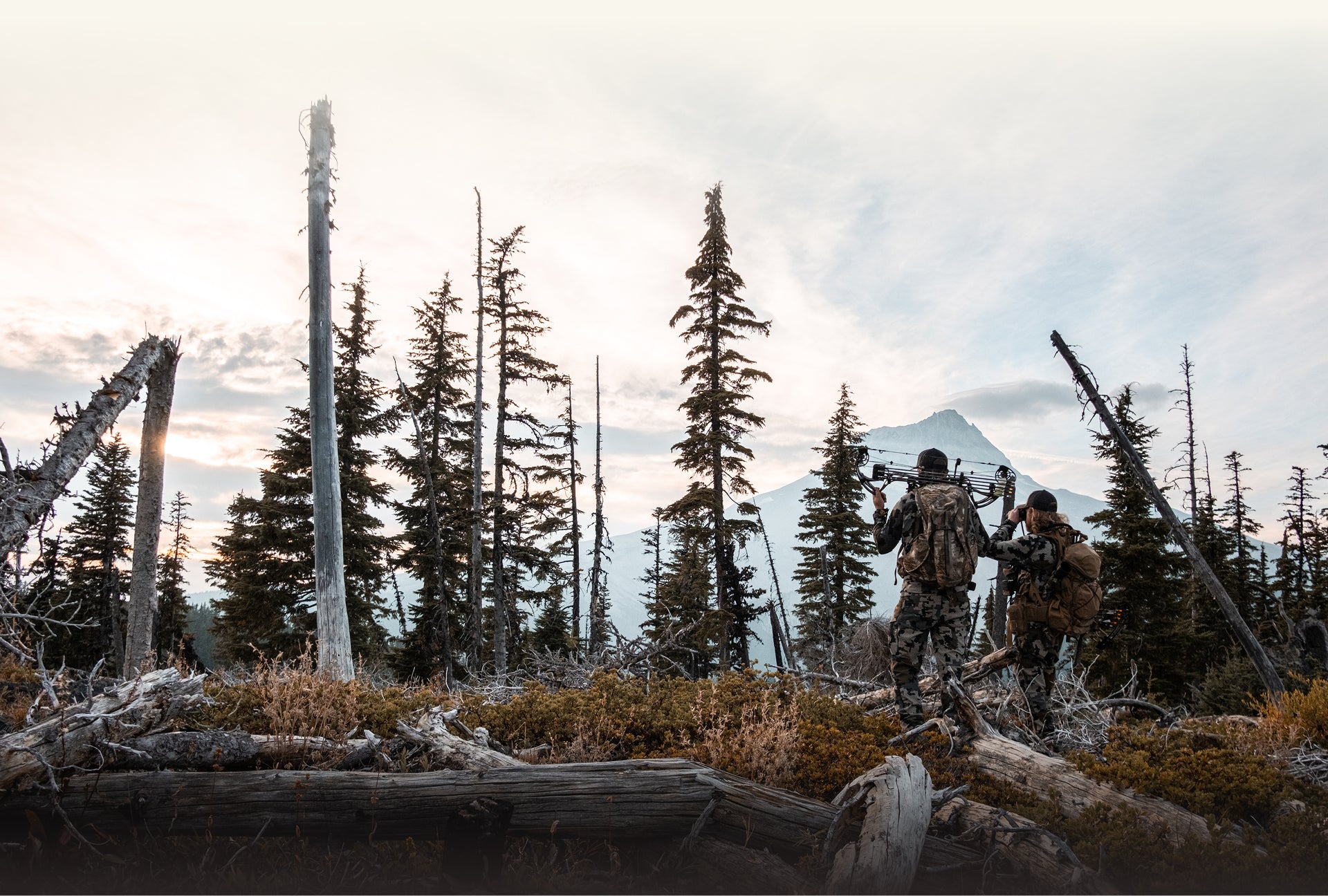 standing on a ridge spotting in the timber