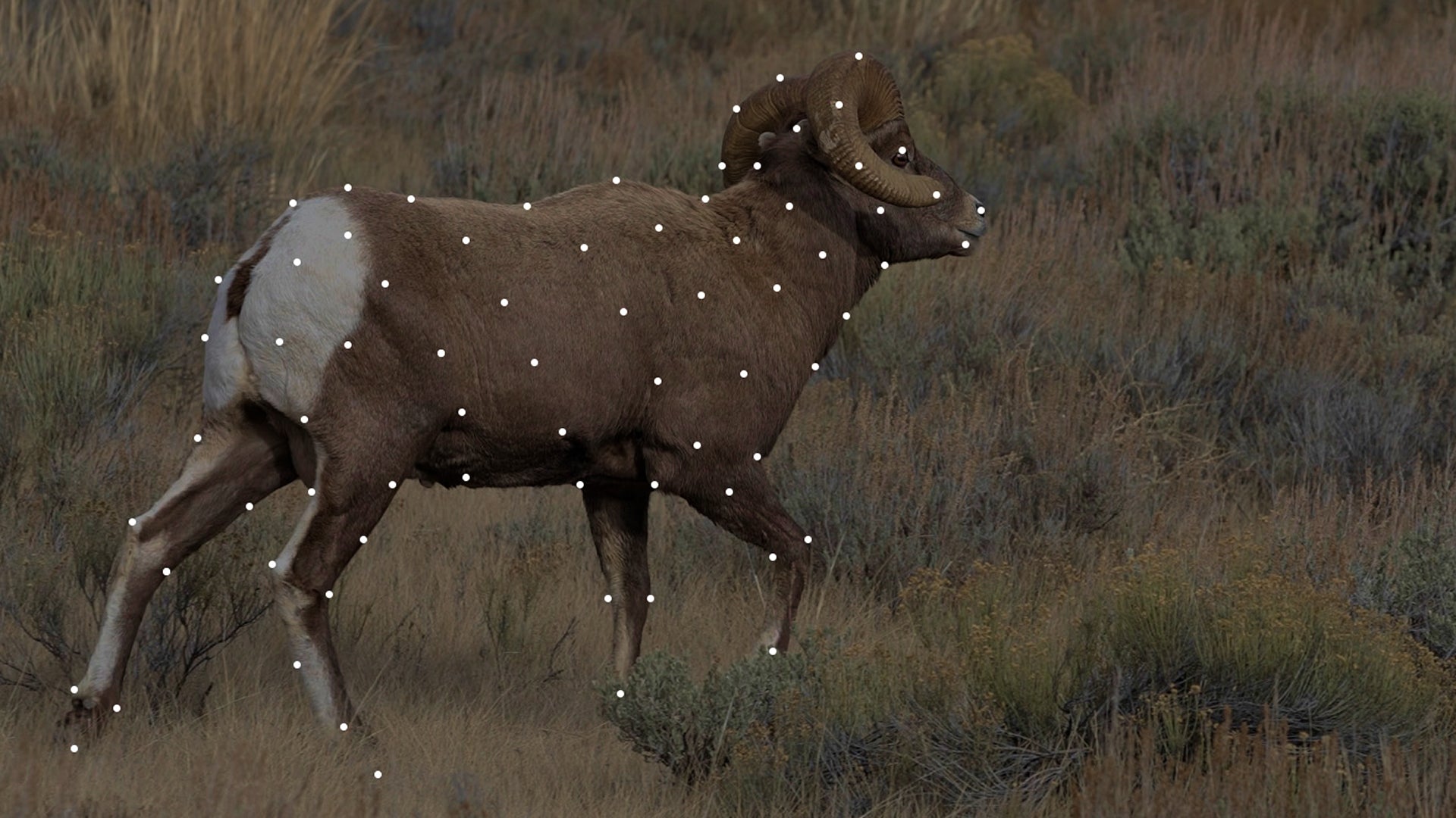 video targets are precisely mapped