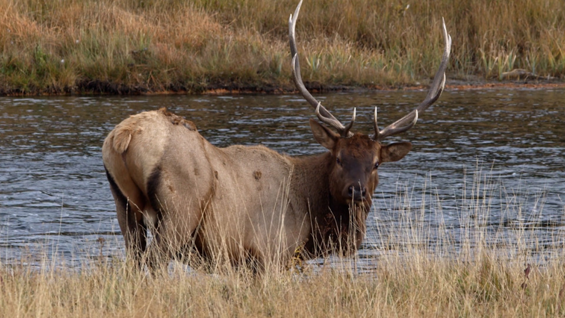 static image targets