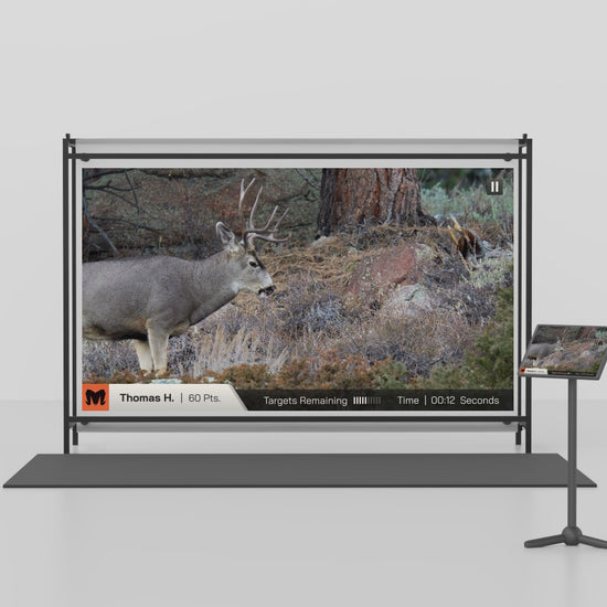 simulator showing video in motion and shot animation.