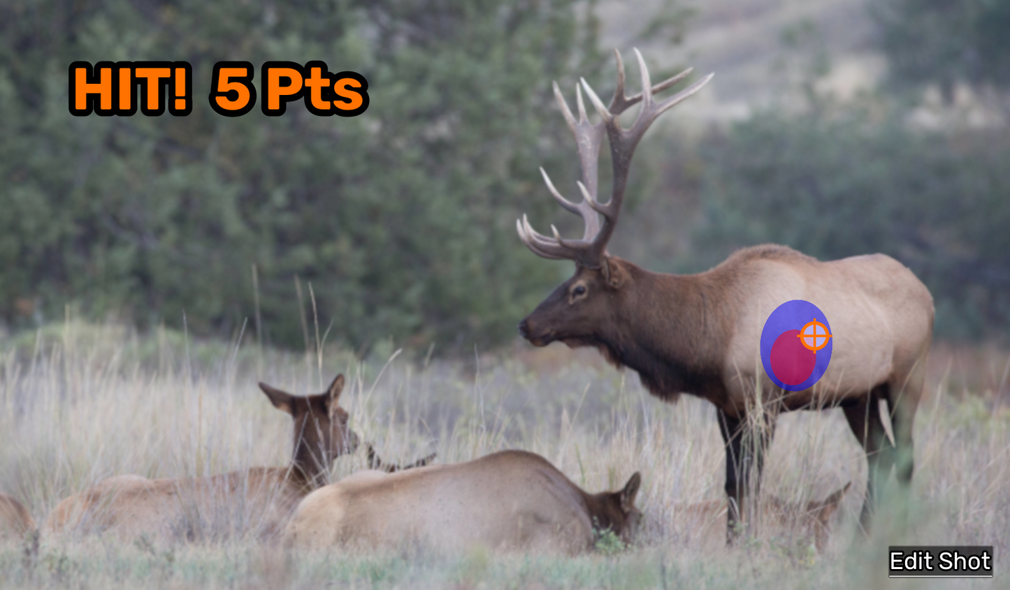 Big Game Photos, Vol 1. Module