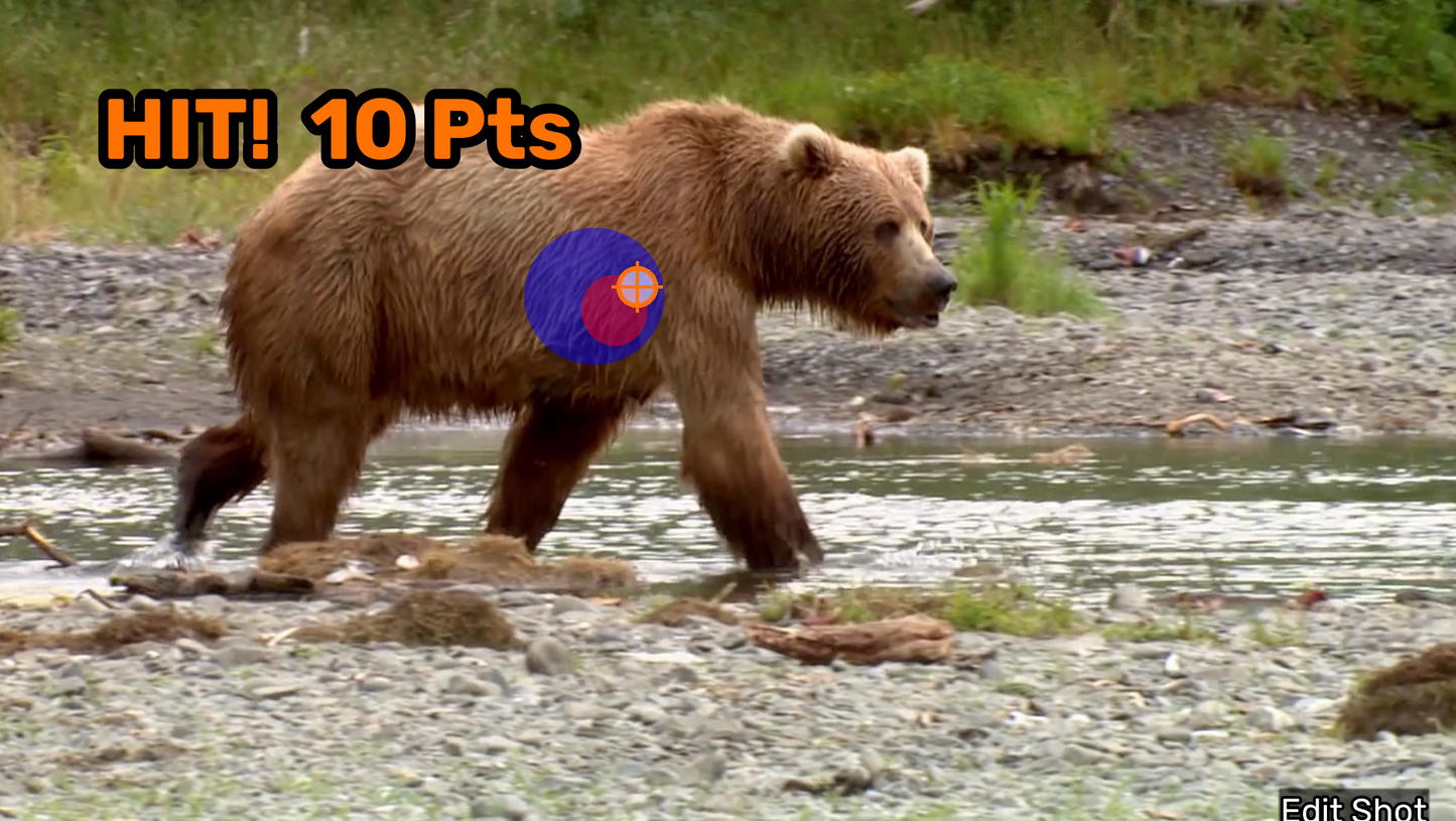 Bear video scoring 10 points after shot