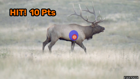 Elk video scoring 10 points after shot