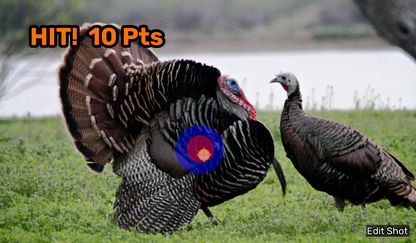 Small Game Photos Module