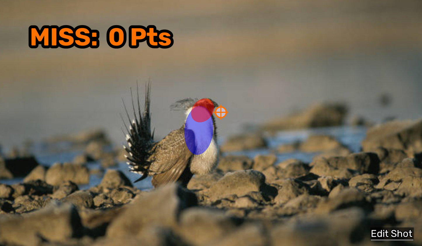 Small Game Photos Module